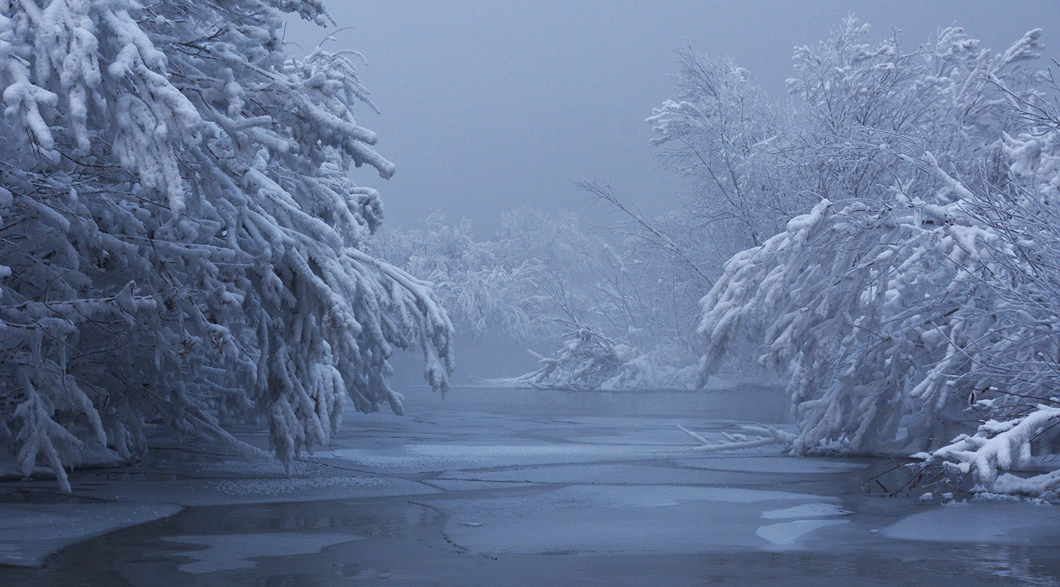 ������� ���� ������