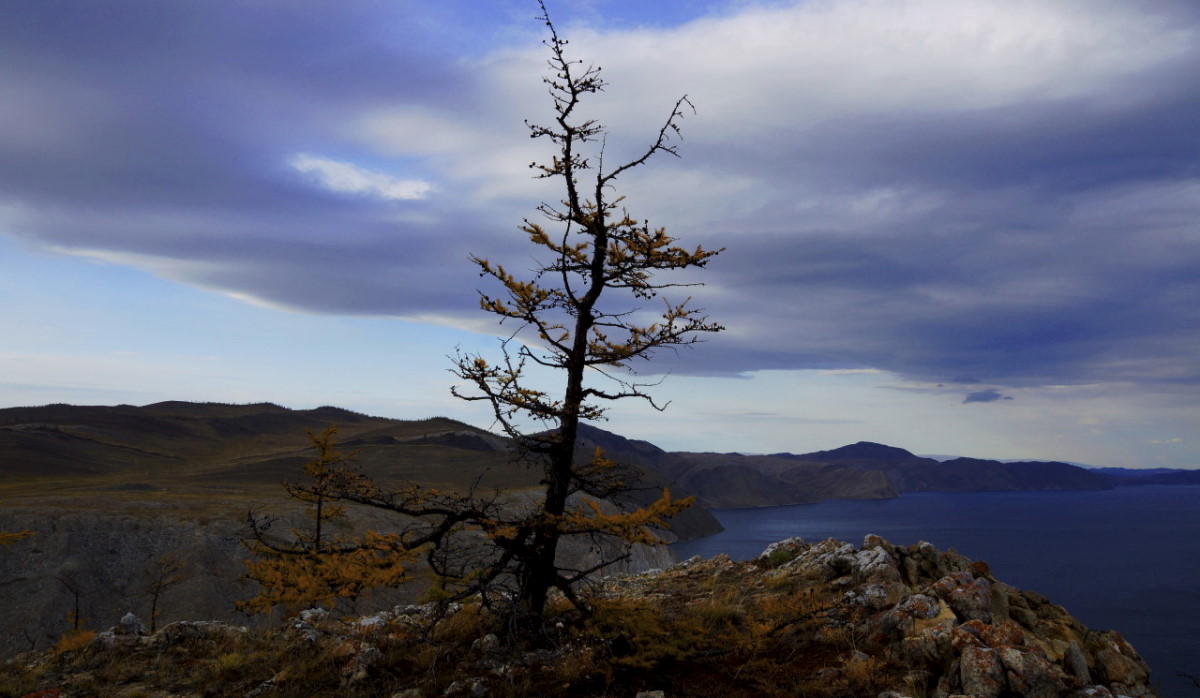 ������� �����