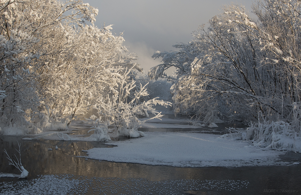 ������ ������ (2)