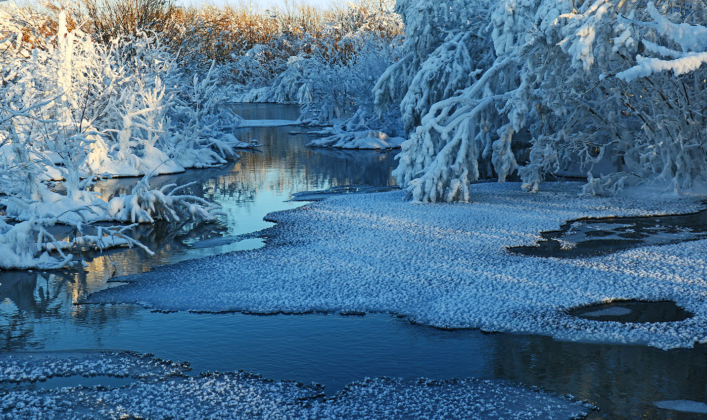 �������� ������