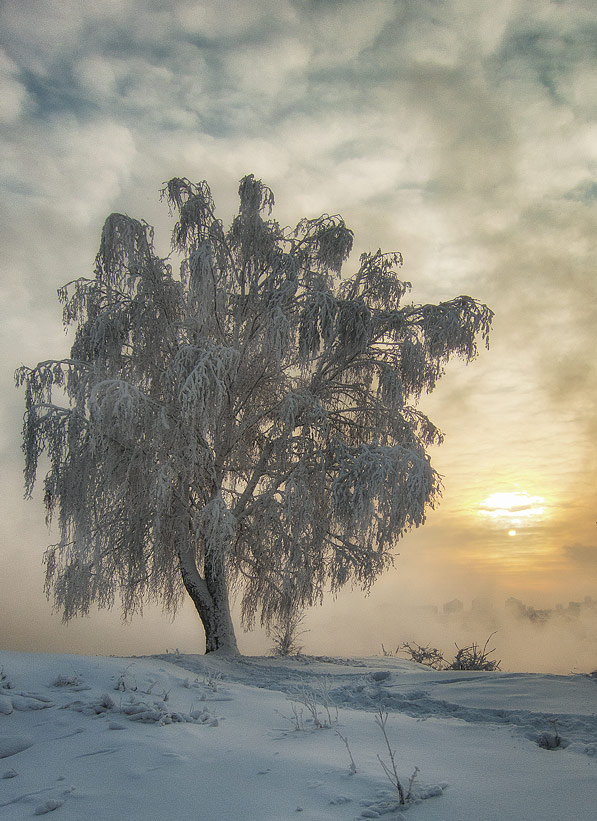 � �������� �����