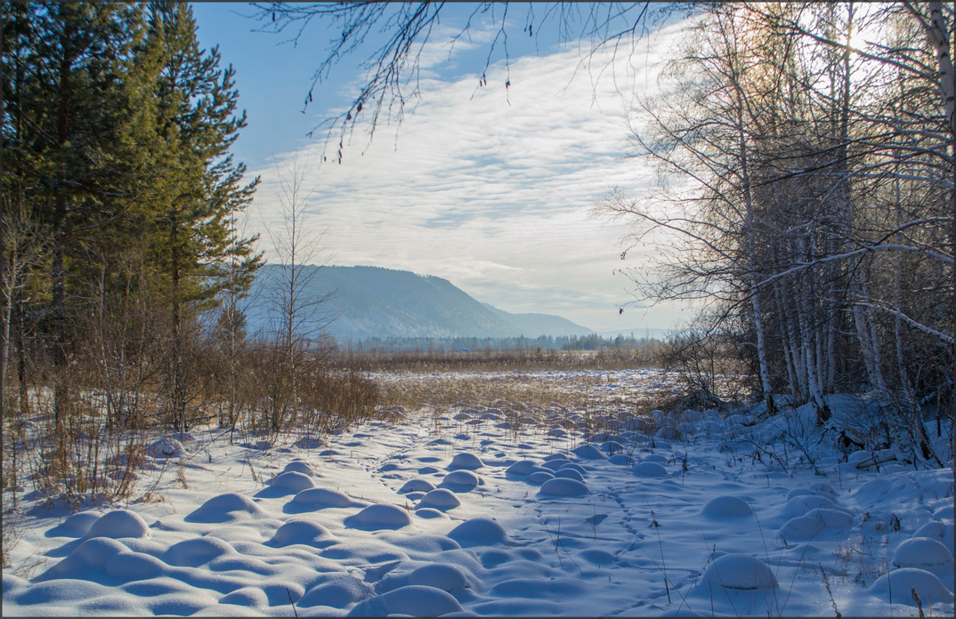 ������ �� ���� ����