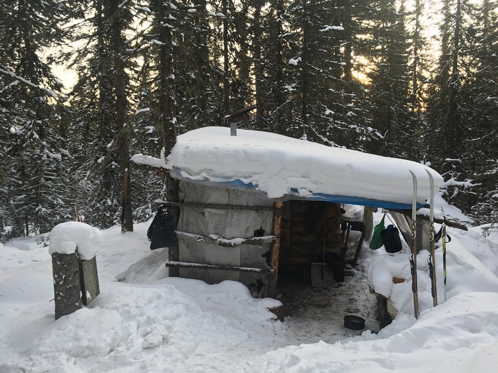 ������������ �������