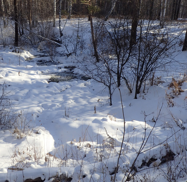 ������� ������