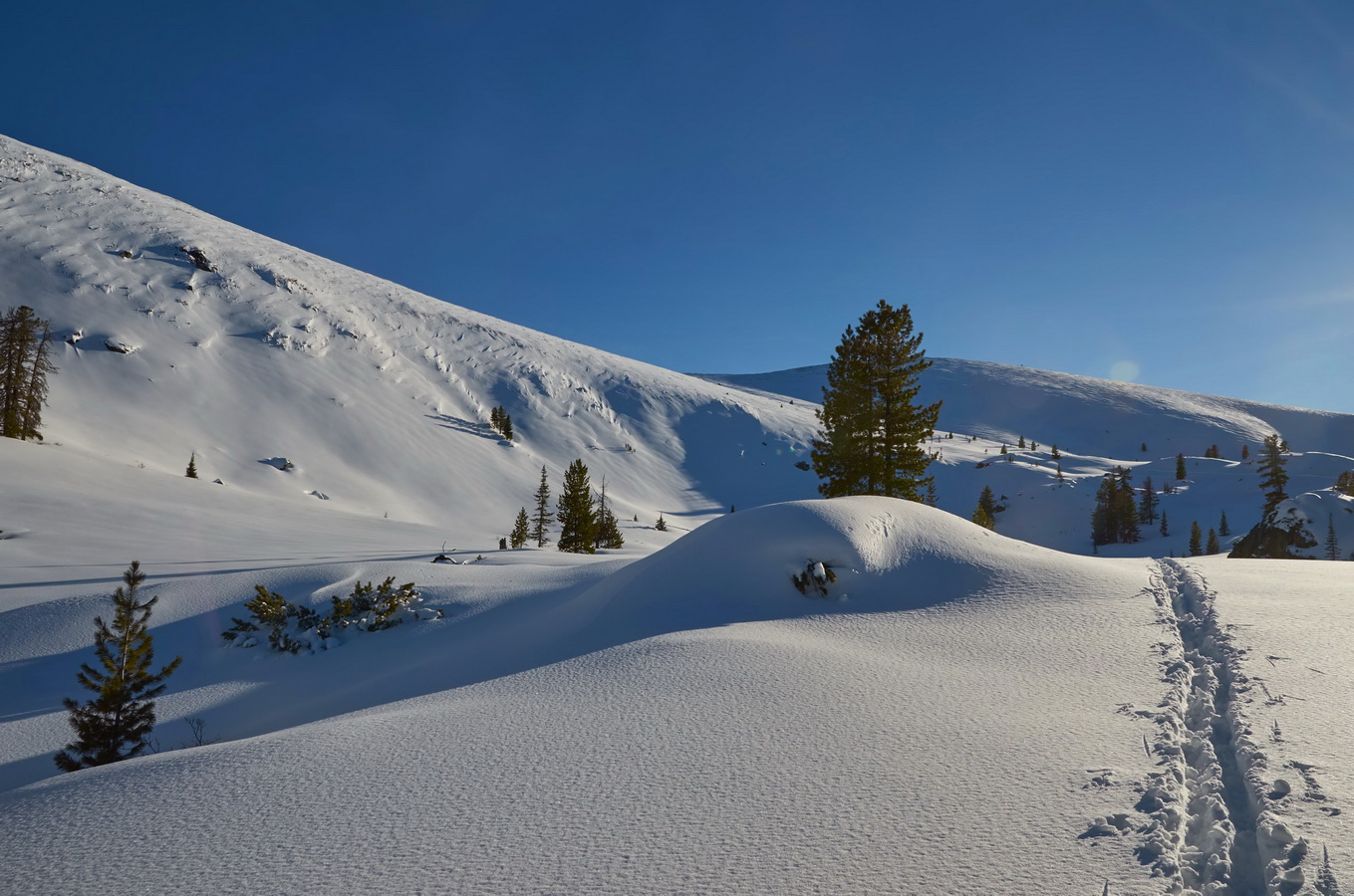 �� ����� �����