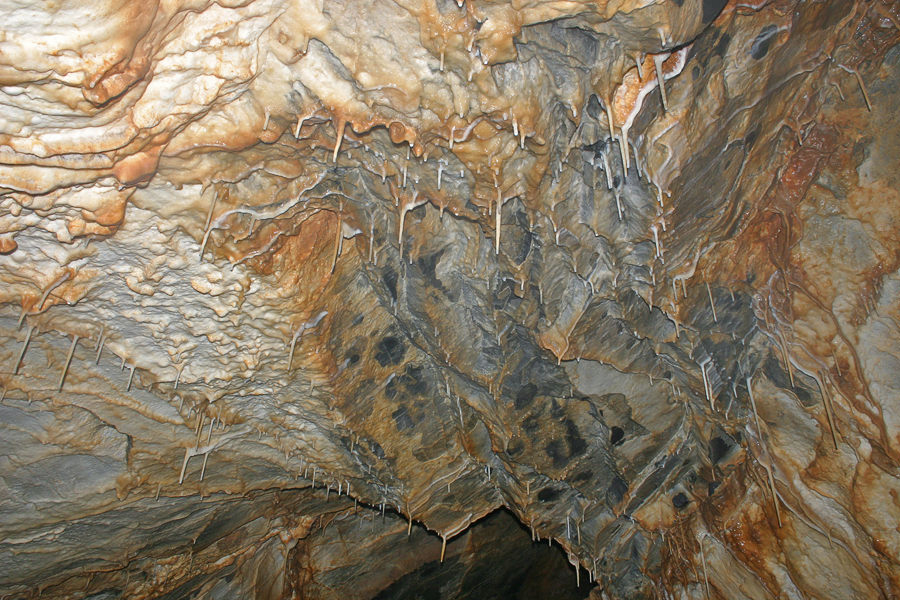 ""  