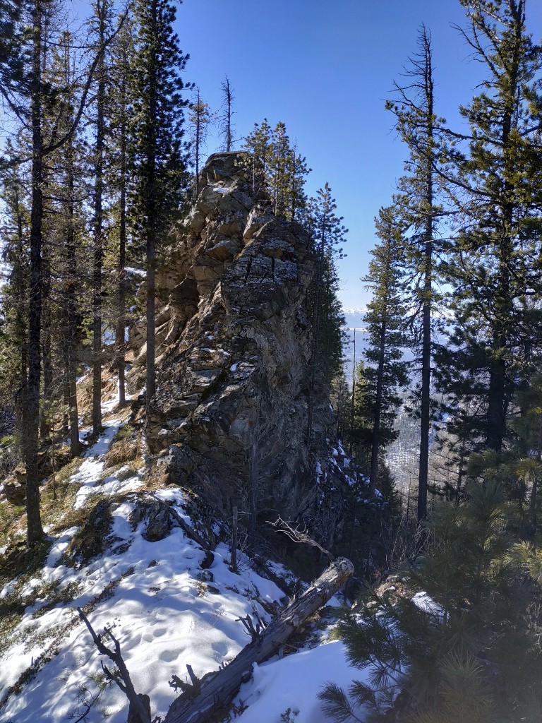 Долгожданный гребень