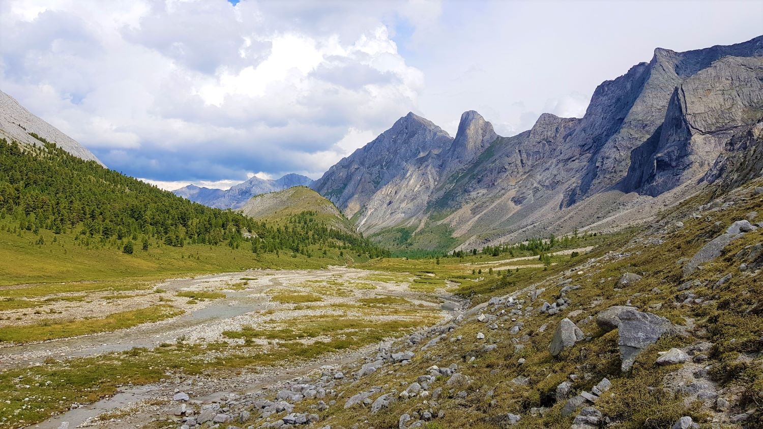 ���-���� �� ������� ����