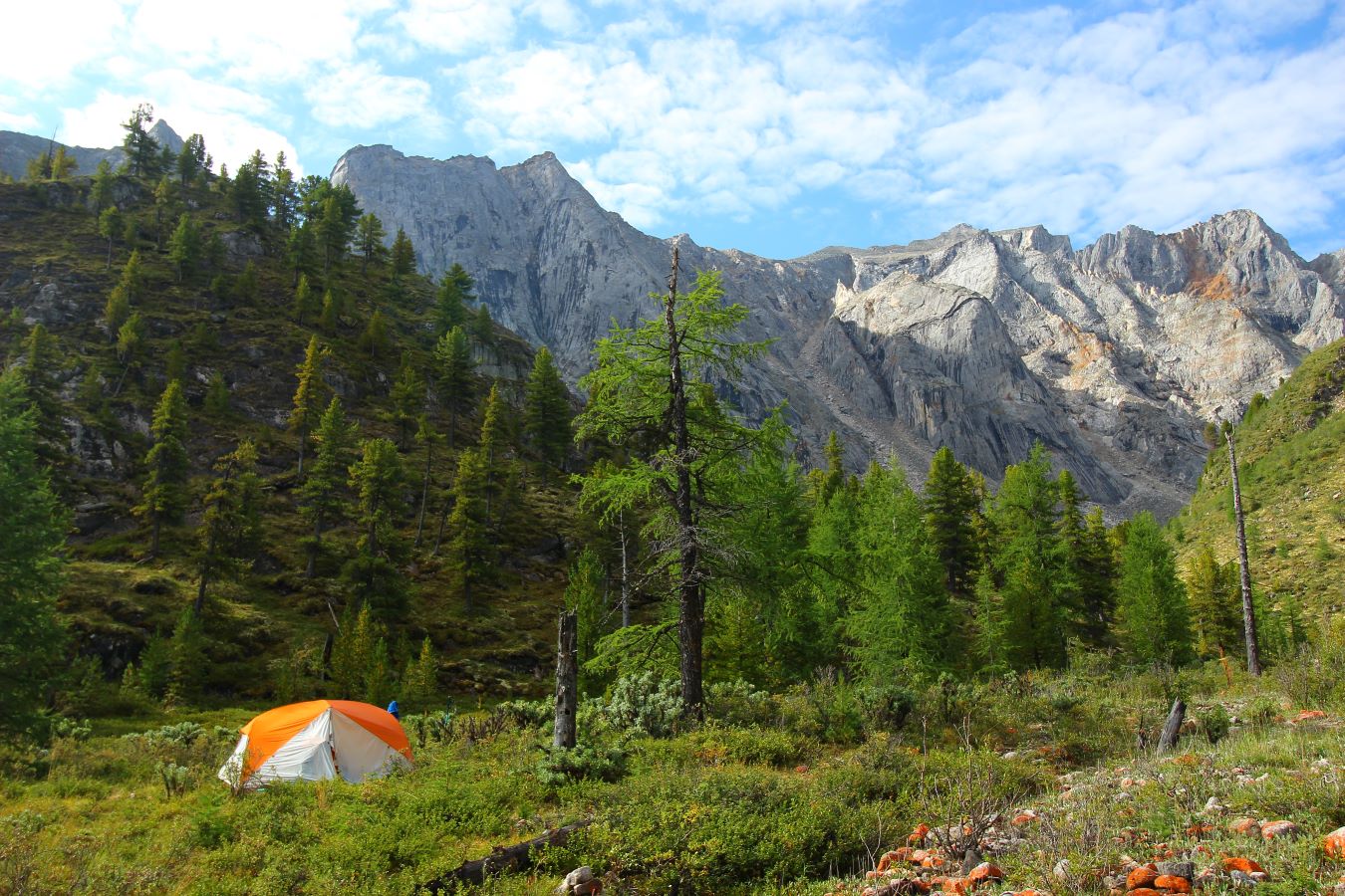 ���-����