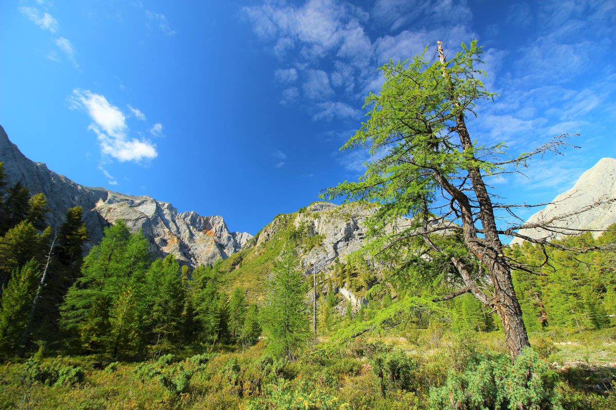 ���-����