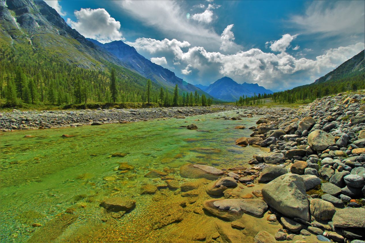 Shine On You Crazy Diamond