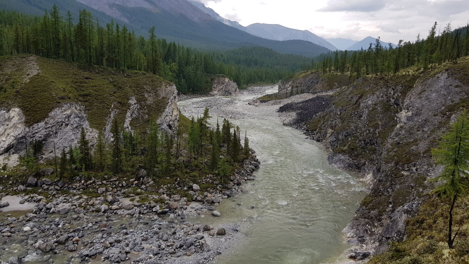 ���-����