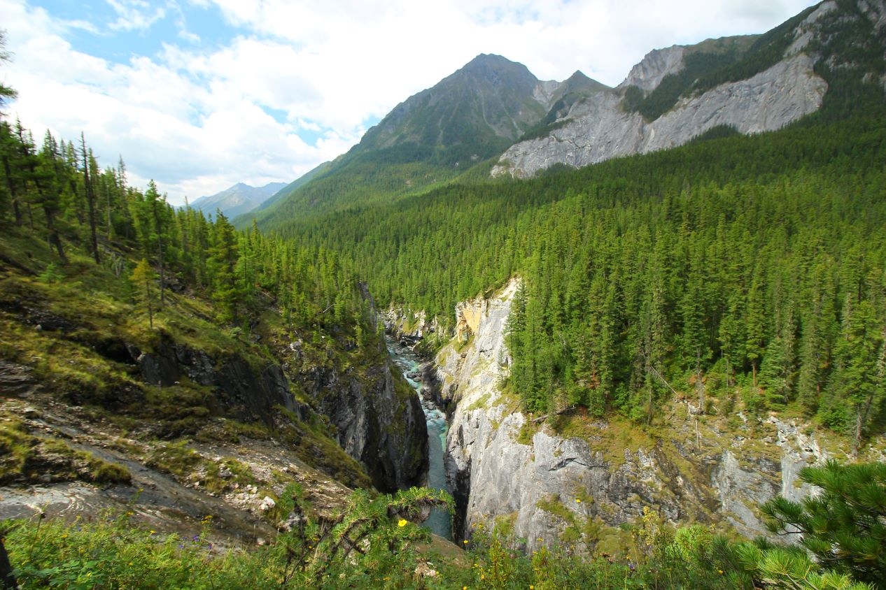 ��������� ������