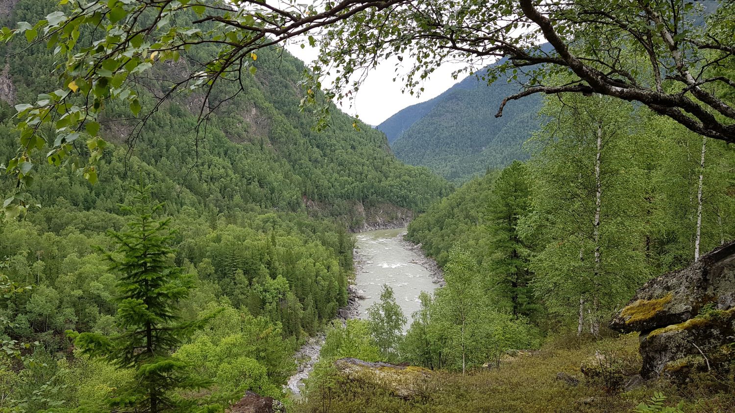 ������ ����� (� ������ � ������� �������� �����)