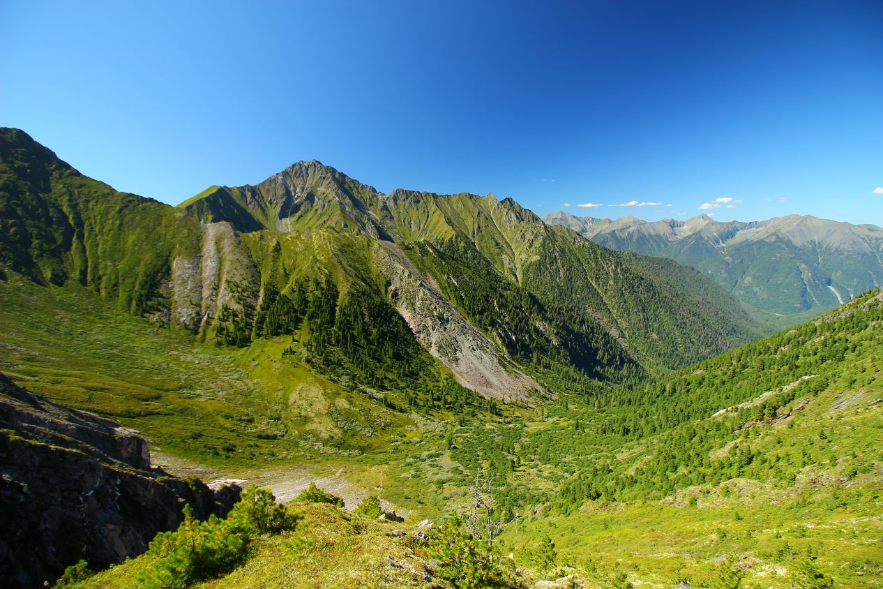 ��������� ����� � ���������� ��������