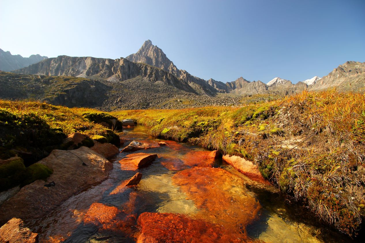 �����-��������