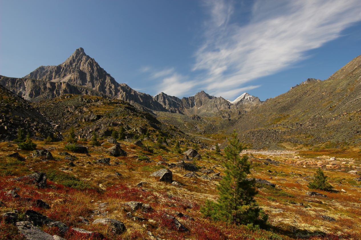 �����-��������