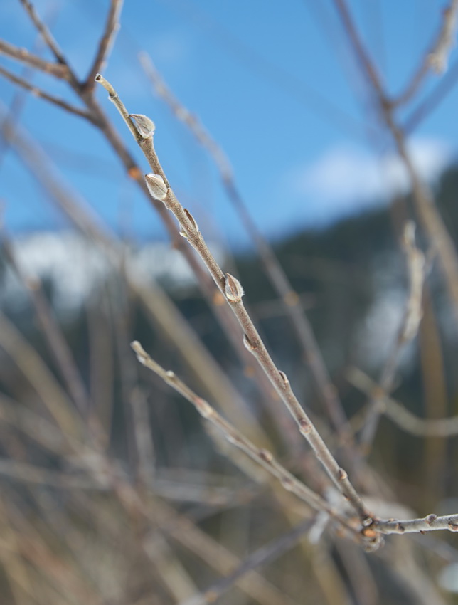 �����, � ������, ����!?