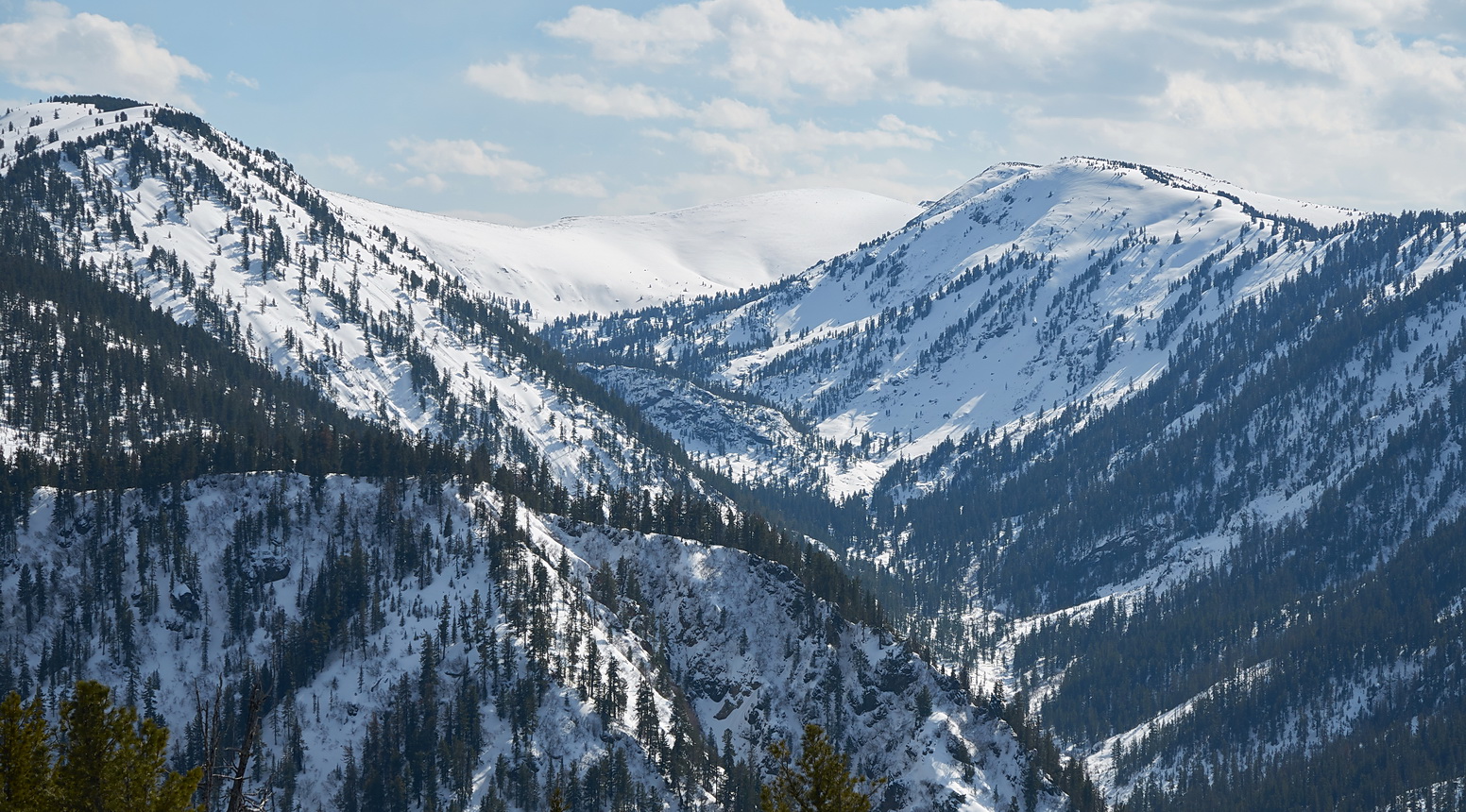 �� ������ - ����� ������