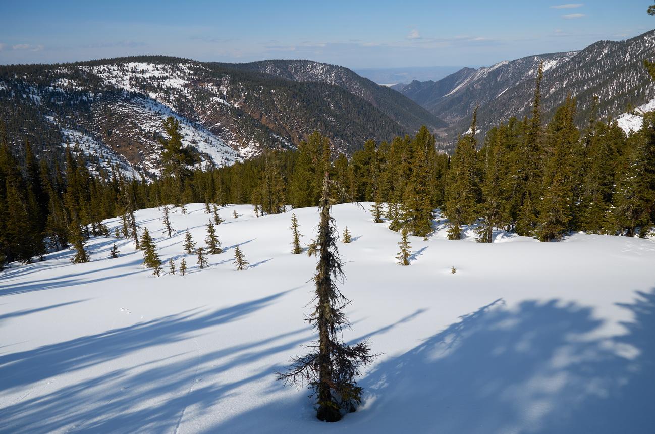 ��� ���� �������