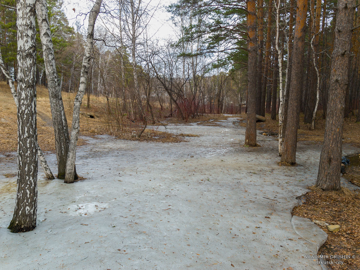 ����� �����