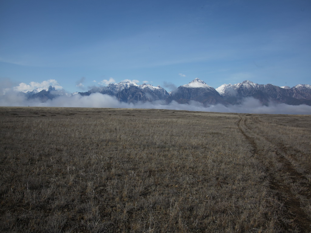 ����� ��������������� ������ � ������������ ������ (�� ������ �.�. ������� 1960�)