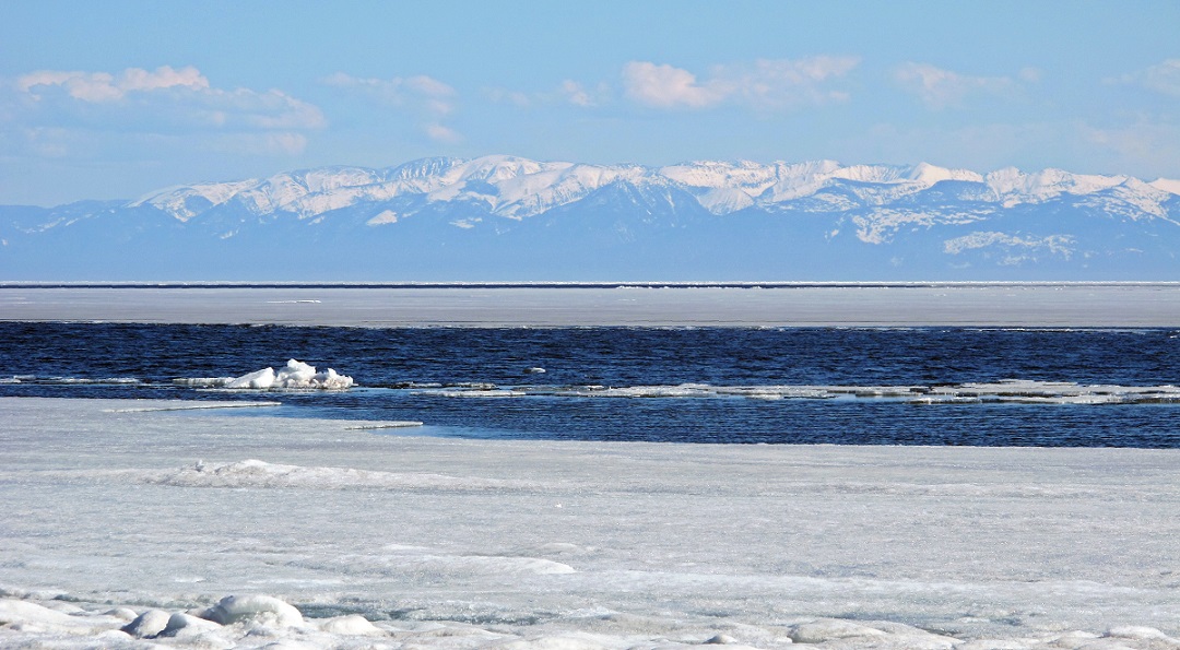 ����� �� �������