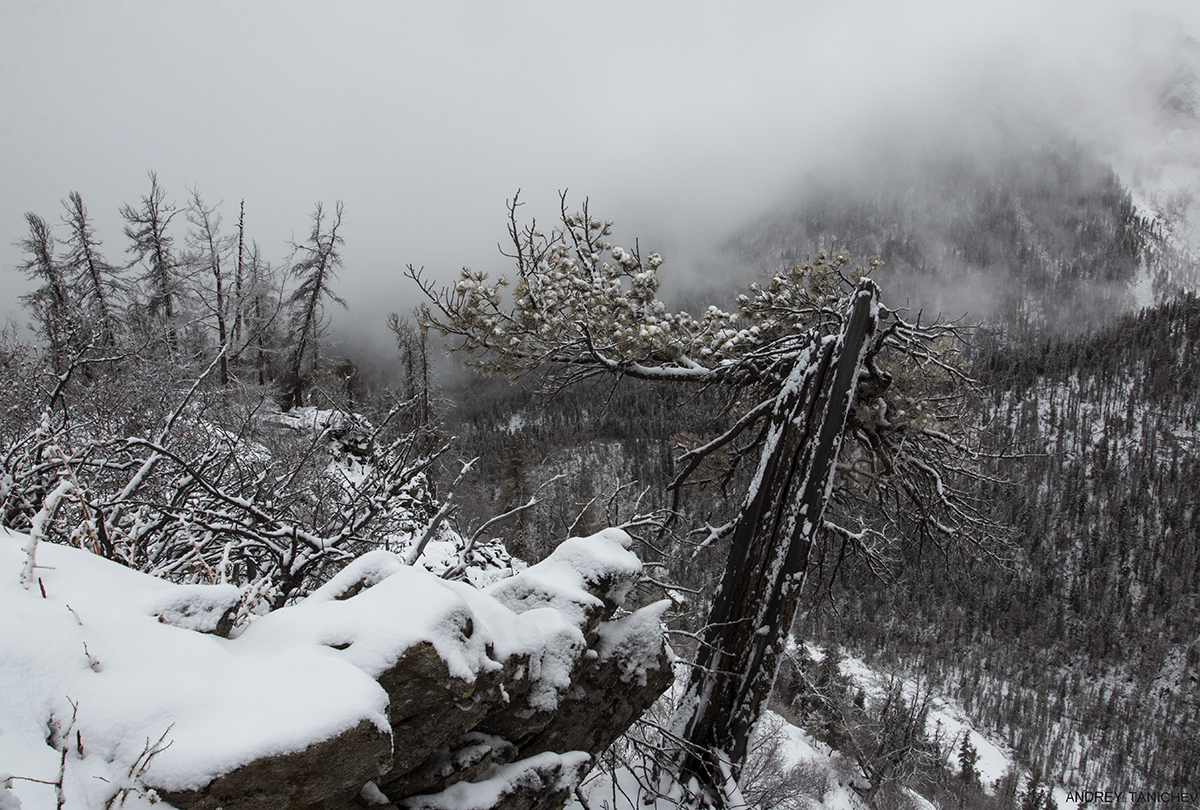 ���������� � �����. ��� �����