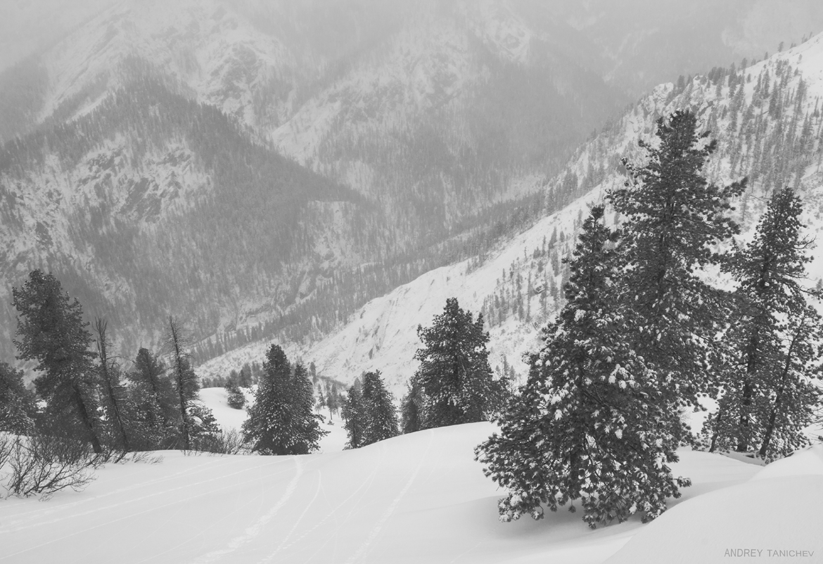 ���������� � �����. ���������� �����