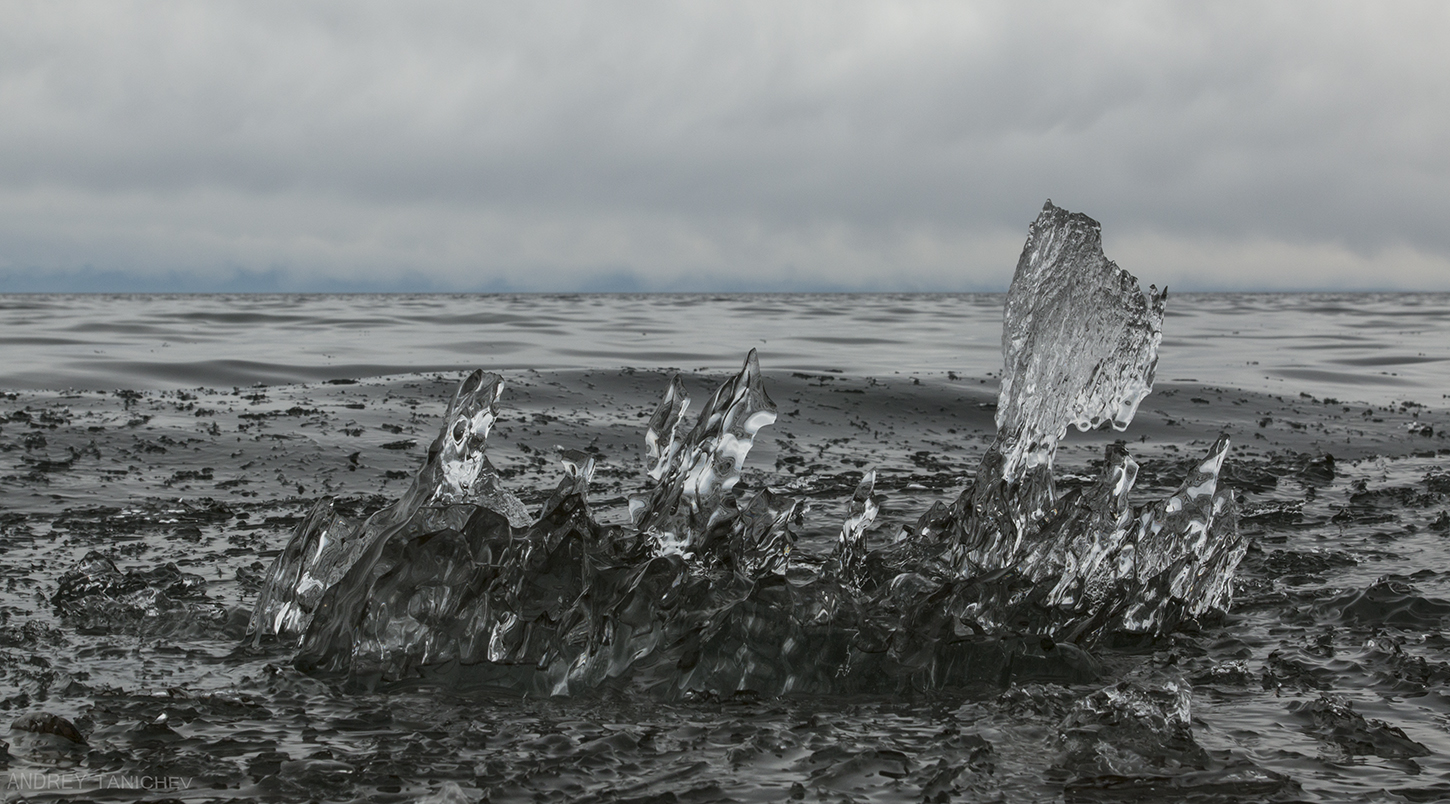 ����� �������� ������� (5)