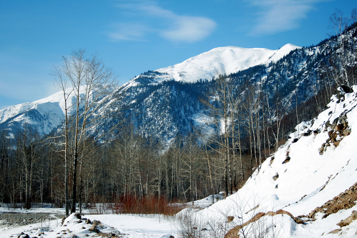 �� ��������� �������� ���