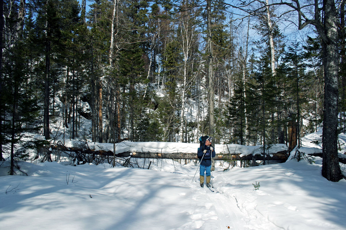 �� ������ �����