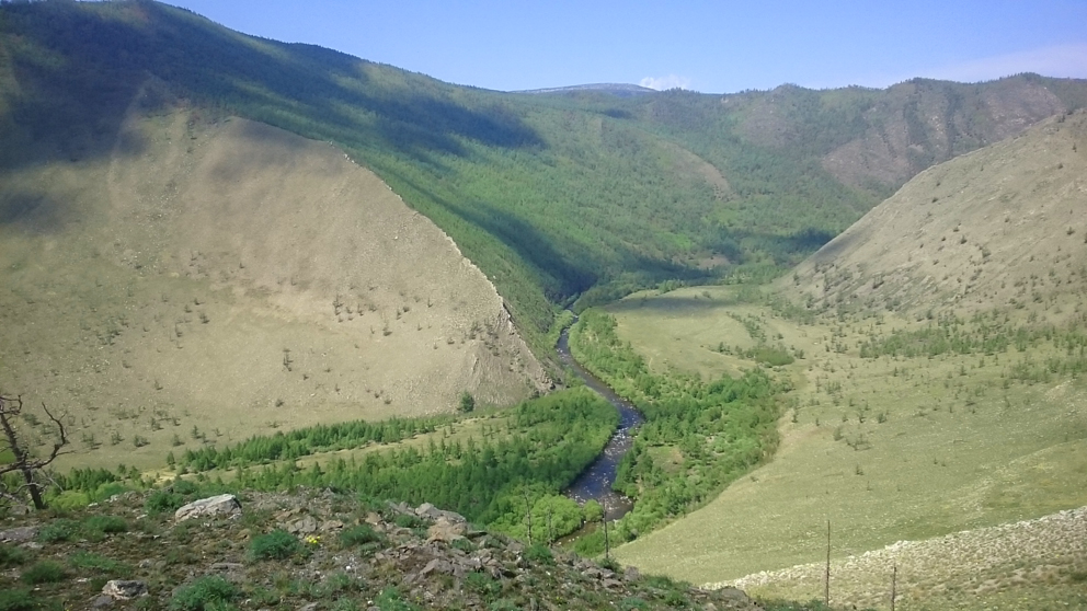 ������� ������ �����