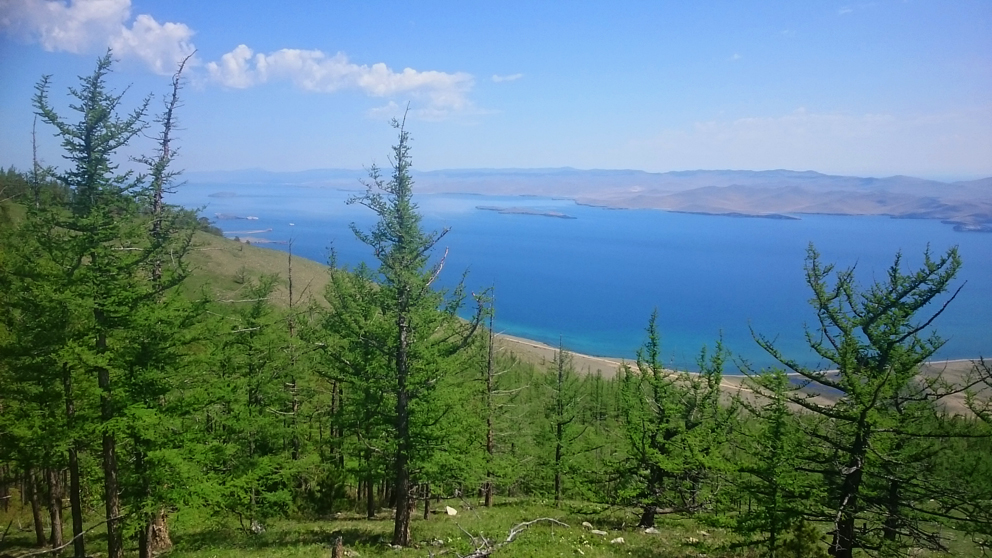 ��� �� �����