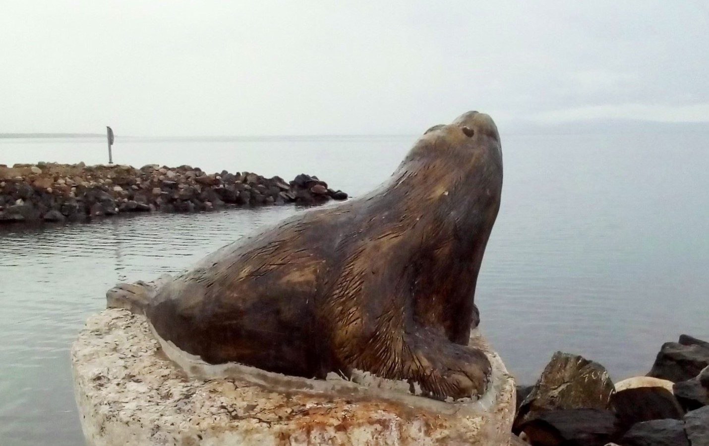 �� ���� ��������