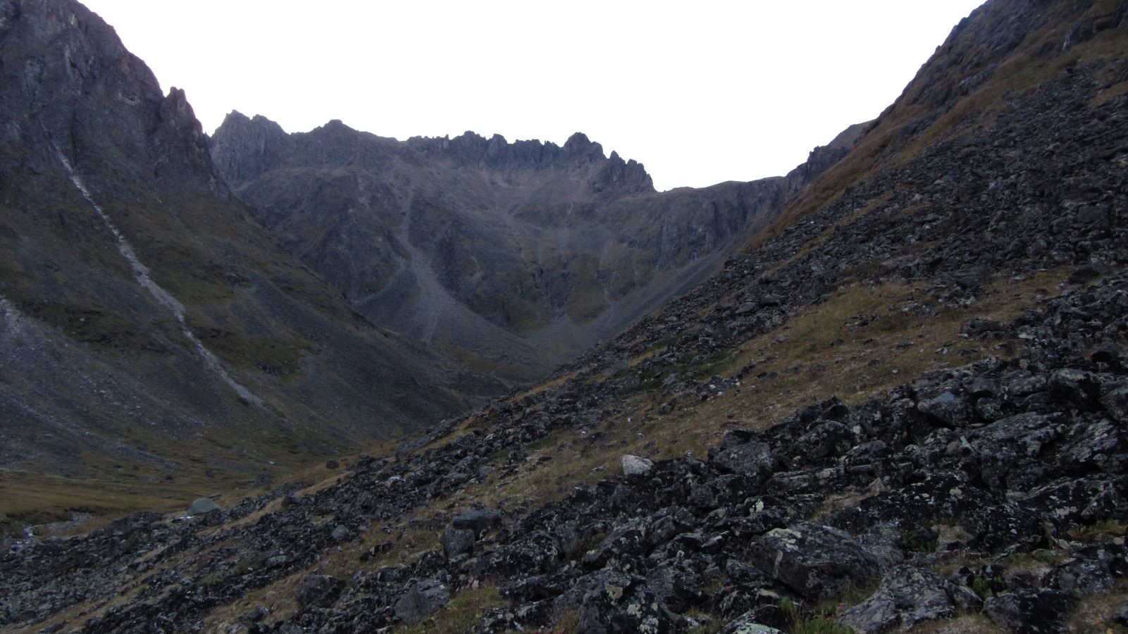 ����� ������� �������