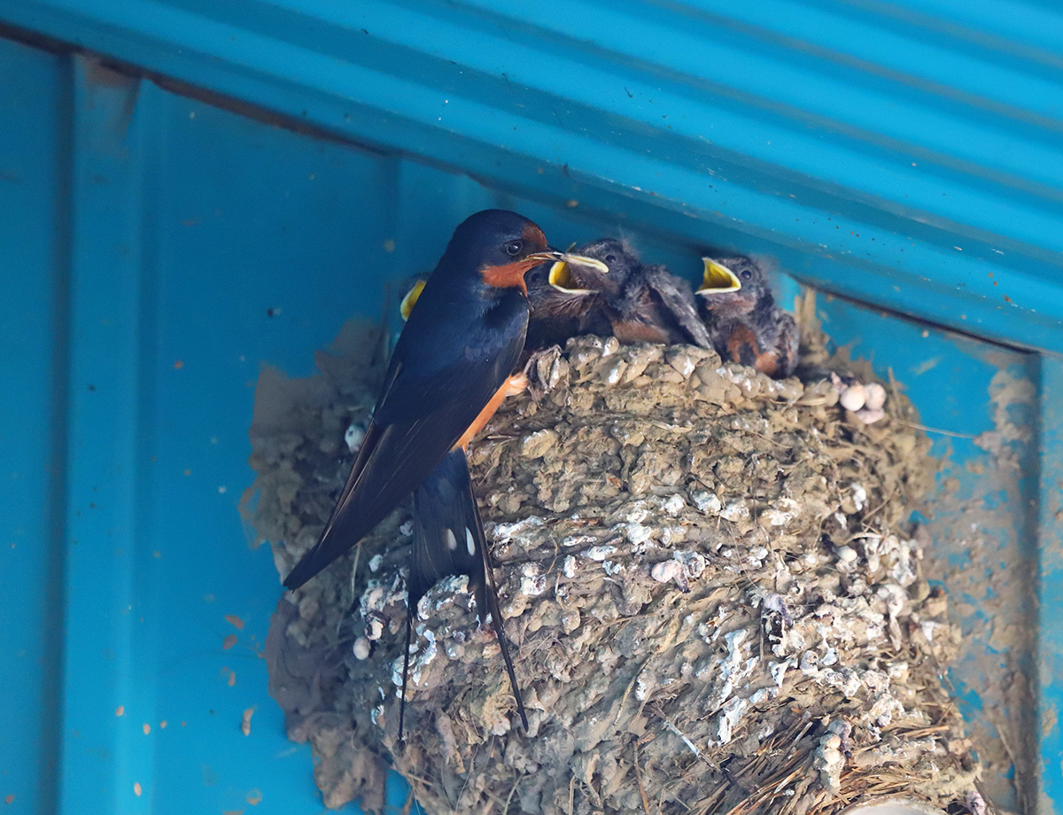 �������� � �������