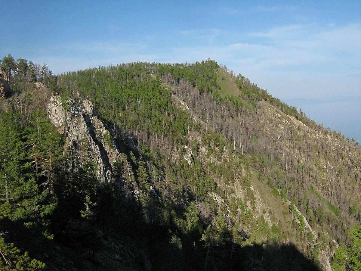 ��� �� ���� ���� � ������ �������� ������ ������� ������