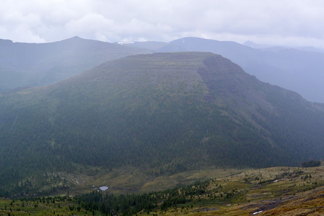 ��� ������ �� ������ � ����������� ��������