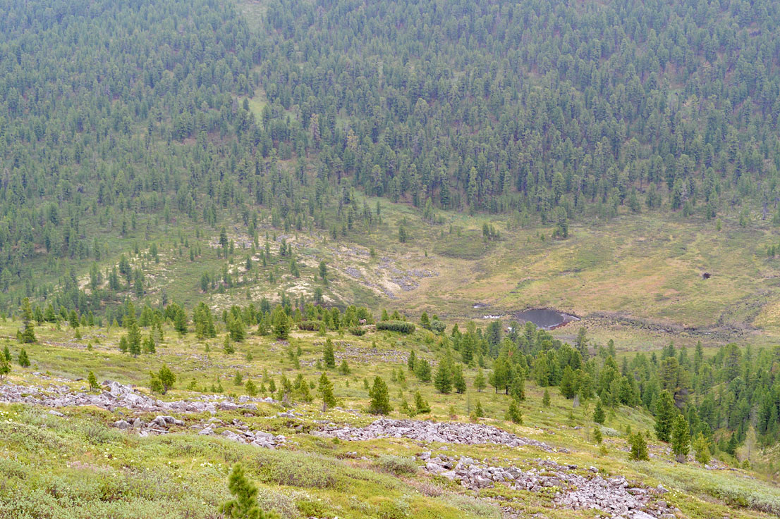 ������ � ����������� ��������