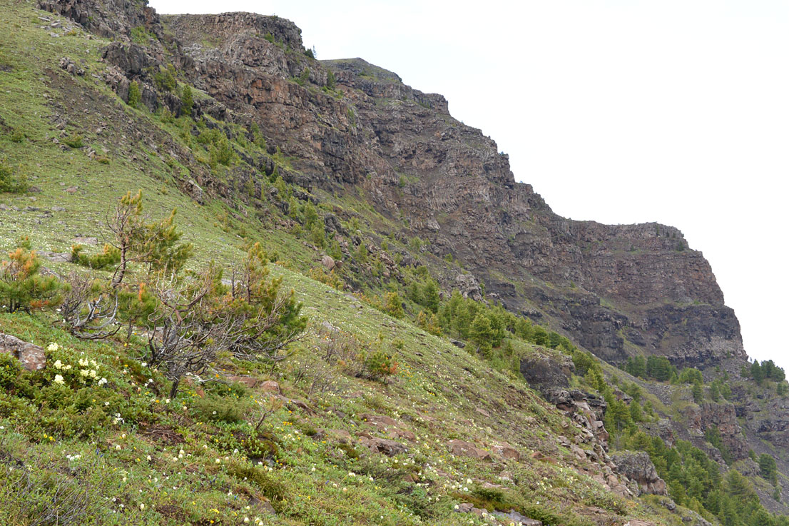 ������ � ���������� �������