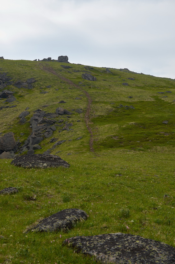 ������ �� ���������