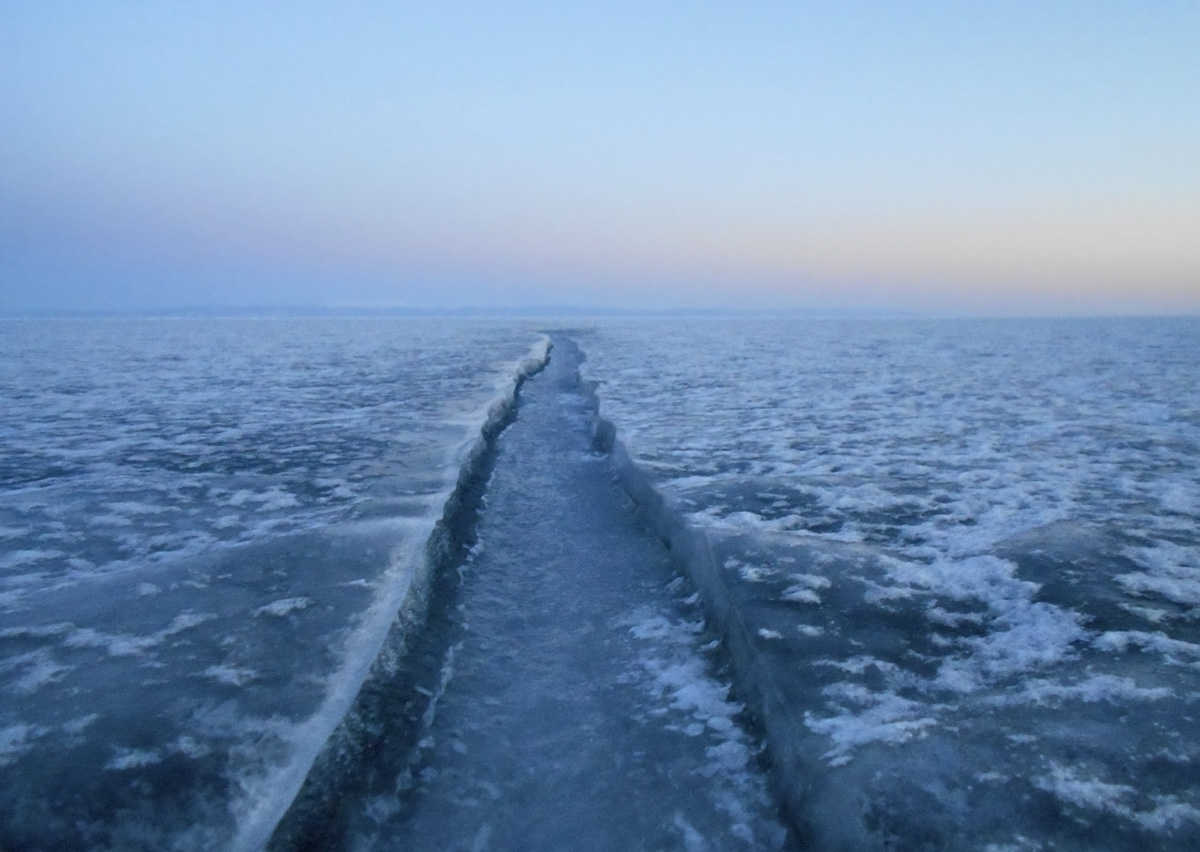 ��������� ���� ����������� ������� �� �������