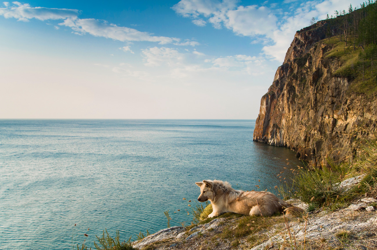 ���� � ������