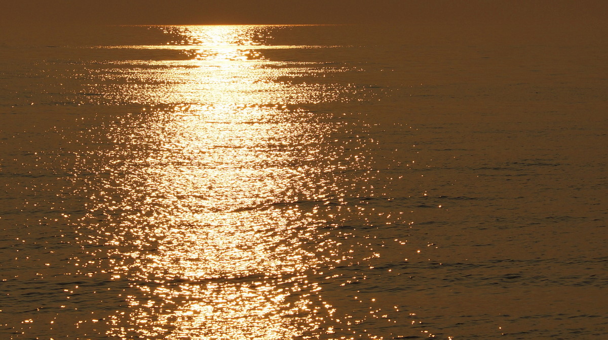 ��������� ������ (�������� 2)