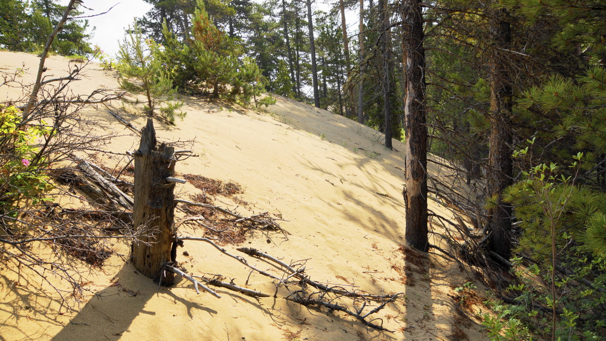 ����������� ����