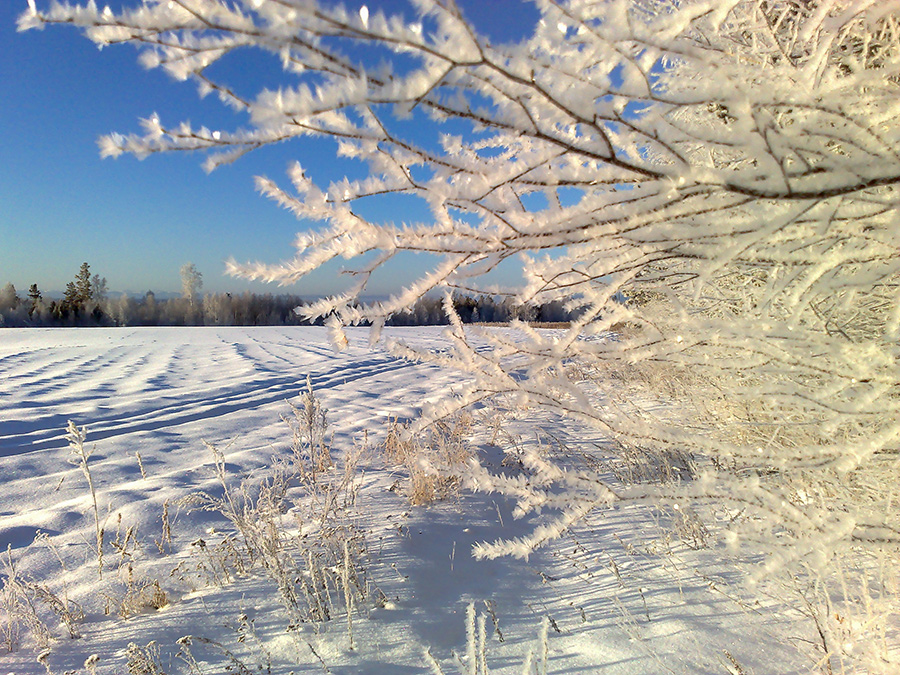 ����� 40 ������