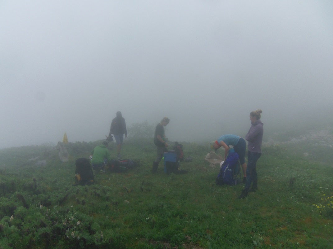 ���� ������ ������� � �������