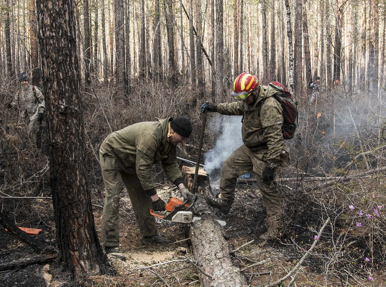 "15.08" � 2019 (6)