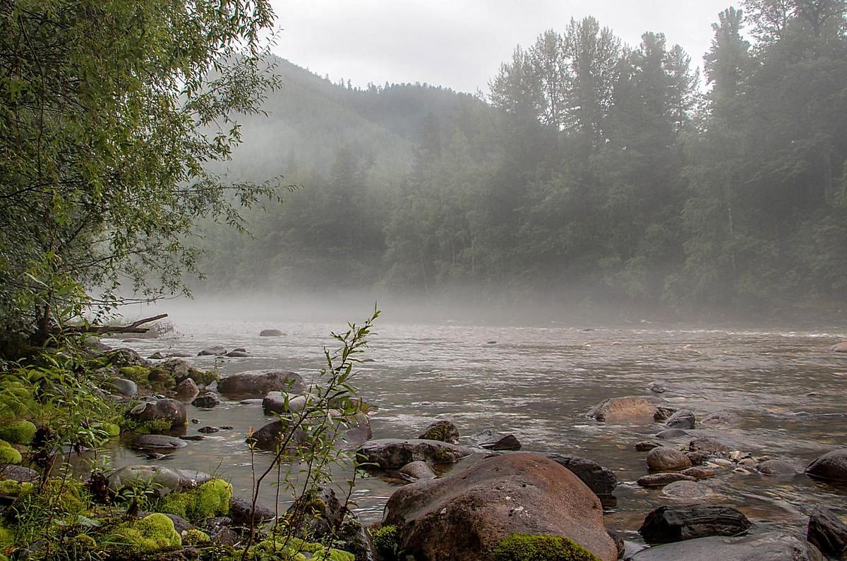 ���� �����